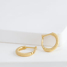 Load image into Gallery viewer, Lucia hoop earrings