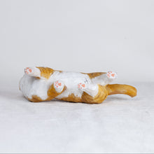 Load image into Gallery viewer, Ryoji Bannai - #2602 Brown and white tabby walking cat