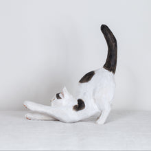 Load image into Gallery viewer, Ryoji Bannai - #2603 Black and white stretching cat