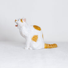 Load image into Gallery viewer, Ryoji Bannai - #2604 Brown and white yawning cat