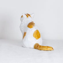 Load image into Gallery viewer, Ryoji Bannai - #2604 Brown and white yawning cat