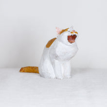 Load image into Gallery viewer, Ryoji Bannai - #2604 Brown and white yawning cat