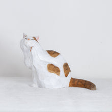 Load image into Gallery viewer, Ryoji Bannai - #2605 Brown and white tabby scratching cat