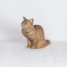 Load image into Gallery viewer, Ryoji Bannai - #2610 Brown tabby sitting cat