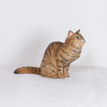 Load image into Gallery viewer, Ryoji Bannai - #2610 Brown tabby sitting cat