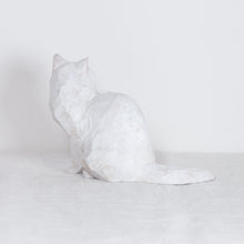 Load image into Gallery viewer, Ryoji Bannai - #2614 White odd eye side sitting cat