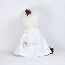 Load image into Gallery viewer, Sate - Large cat doll with clothes