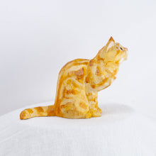 Load image into Gallery viewer, Ryoji Bannai - #2517 Orange American Shorthair sitting cat