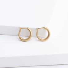 Load image into Gallery viewer, Matte hoop earrings