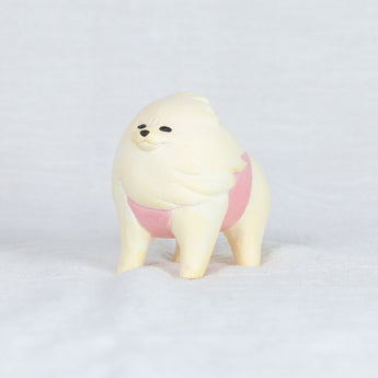 montomi - Pomeranian that faces strong wind