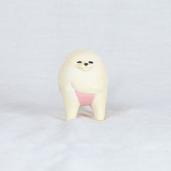 montomi - Pomeranian that faces strong wind