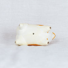 Load image into Gallery viewer, montomi - Corgi
