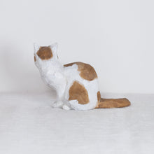 Load image into Gallery viewer, Ryoji Bannai - #2615 Brown and white side sitting cat
