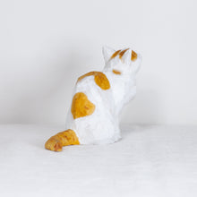 Load image into Gallery viewer, Ryoji Bannai - #2604 Brown and white yawning cat
