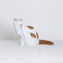 Load image into Gallery viewer, Ryoji Bannai - #2605 Brown and white tabby scratching cat
