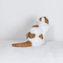 Load image into Gallery viewer, Ryoji Bannai - #2605 Brown and white tabby scratching cat
