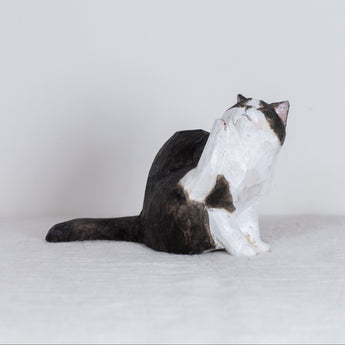 Ryoji Bannai - #2606 Black and white scratching cat