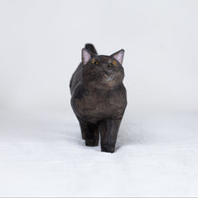 Load image into Gallery viewer, Ryoji Bannai - #2601 Black walking cat
