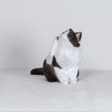 Load image into Gallery viewer, Ryoji Bannai - #2606 Black and white scratching cat

