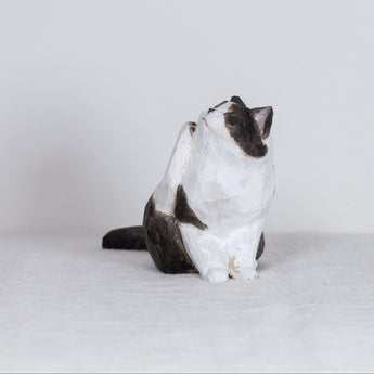 Ryoji Bannai - #2606 Black and white scratching cat