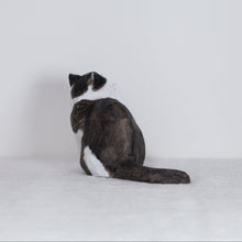 Load image into Gallery viewer, Ryoji Bannai - #2606 Black and white scratching cat
