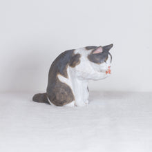 Load image into Gallery viewer, Ryoji Bannai - #2607 Gray and white cleaning cat
