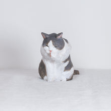 Load image into Gallery viewer, Ryoji Bannai - #2607 Gray and white cleaning cat
