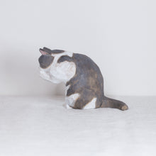 Load image into Gallery viewer, Ryoji Bannai - #2607 Gray and white cleaning cat
