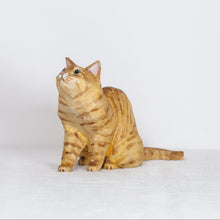 Load image into Gallery viewer, Ryoji Bannai - #2609 Orange tabby sitting cat
