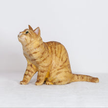 Load image into Gallery viewer, Ryoji Bannai - #2609 Orange tabby sitting cat
