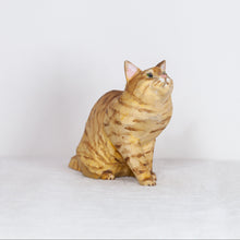Load image into Gallery viewer, Ryoji Bannai - #2609 Orange tabby sitting cat
