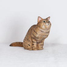 Load image into Gallery viewer, Ryoji Bannai - #2610 Brown tabby sitting cat
