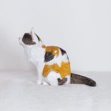 Load image into Gallery viewer, Ryoji Bannai - #2612 Calico sitting cat
