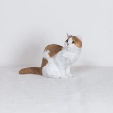 Load image into Gallery viewer, Ryoji Bannai - #2615 Brown and white side sitting cat
