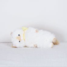 Load image into Gallery viewer, Sate - Small chilling cat doll
