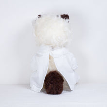 Load image into Gallery viewer, Sate - Large cat doll with clothes
