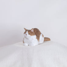 Load image into Gallery viewer, Ryoji Bannai - #18 Brown and white chilling cat
