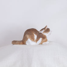 Load image into Gallery viewer, Ryoji Bannai - #18 Brown and white chilling cat
