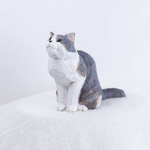 Load image into Gallery viewer, Ryoji Bannai - #2512 Mackerel tabby and white sitting cat
