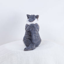 Load image into Gallery viewer, Ryoji Bannai - #2512 Mackerel tabby and white sitting cat
