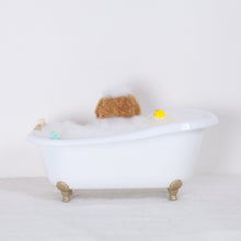Load image into Gallery viewer, Fluffy - poodle bath time
