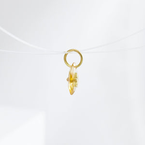 Cleaning cat citrine pendant